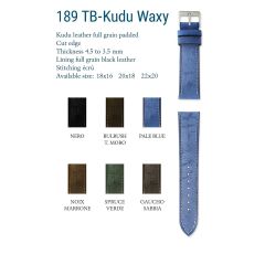 CINTURINO ANTILOPE KUDU HYOPOALLERGE BULRUSH TESTA MORO