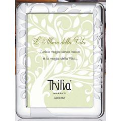 CORNICE ALBERO DELLA VITA MISURE INTERNE CM 18X24 F. CM. 2.2