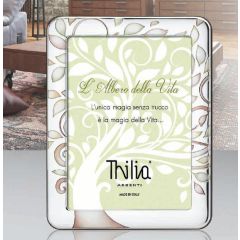 CORNICE 9X13 ALBETO DELLA VITA FASCIA CM1.5