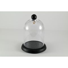 CAMPANA PLEXI PER OROLOGI TASCA